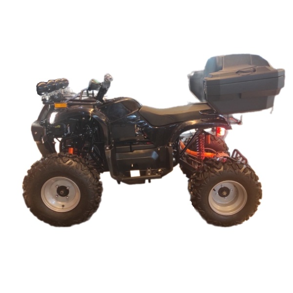 Remove-bg.ai_1733311143662